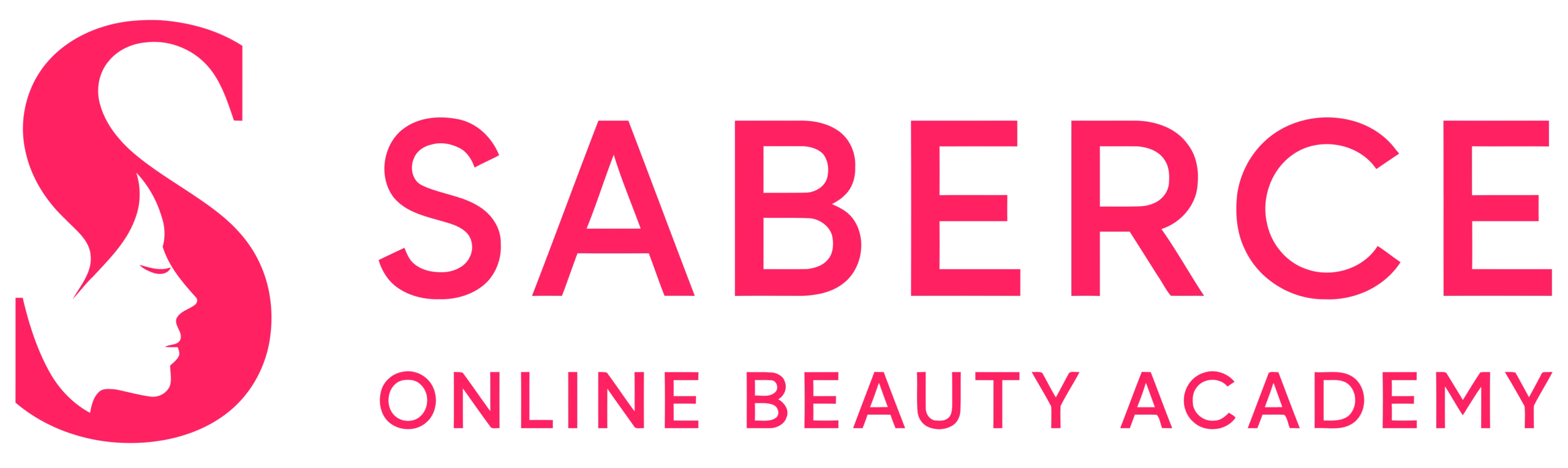 saberce.com